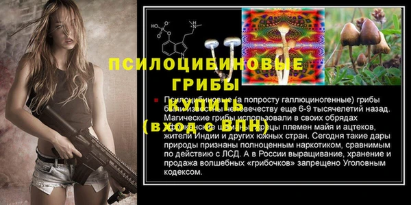 apvp Алексин