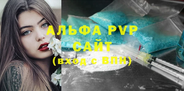 apvp Алексин