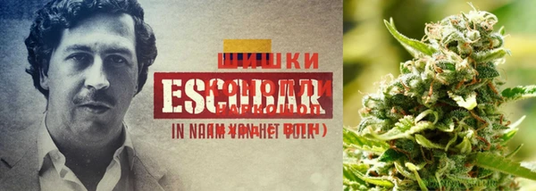 MESCALINE Алзамай