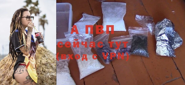 apvp Алексин