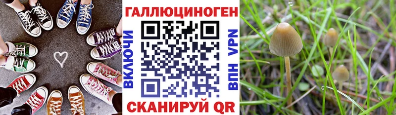 MEGA рабочий сайт  Грязовец  Псилоцибиновые грибы Cubensis 